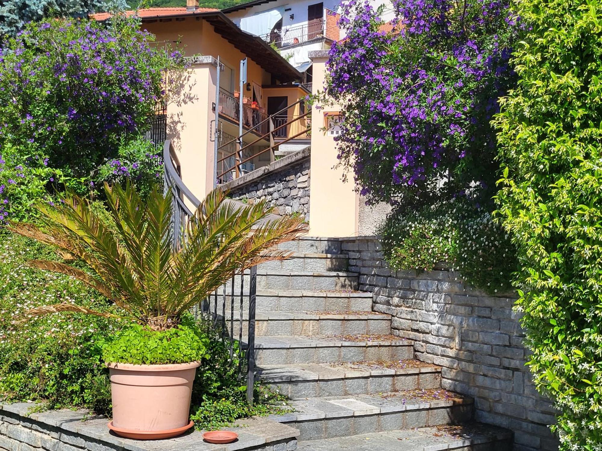 Casa Intignano - Appartamento Con Terrazzo Vista Lago 特雷梅佐 外观 照片